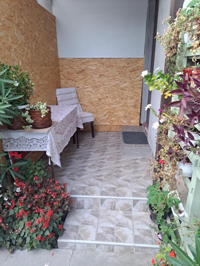 Apartment Capital Town Vk 14 Novi Sad Exterior foto